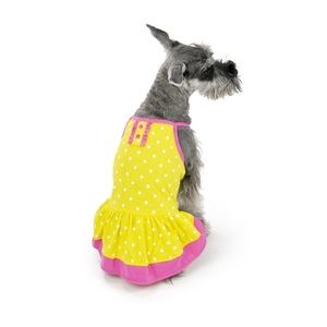 NWT Vibrant Life Dog Dress, Yellow Pink Polka Dot Sizes XXS and S available